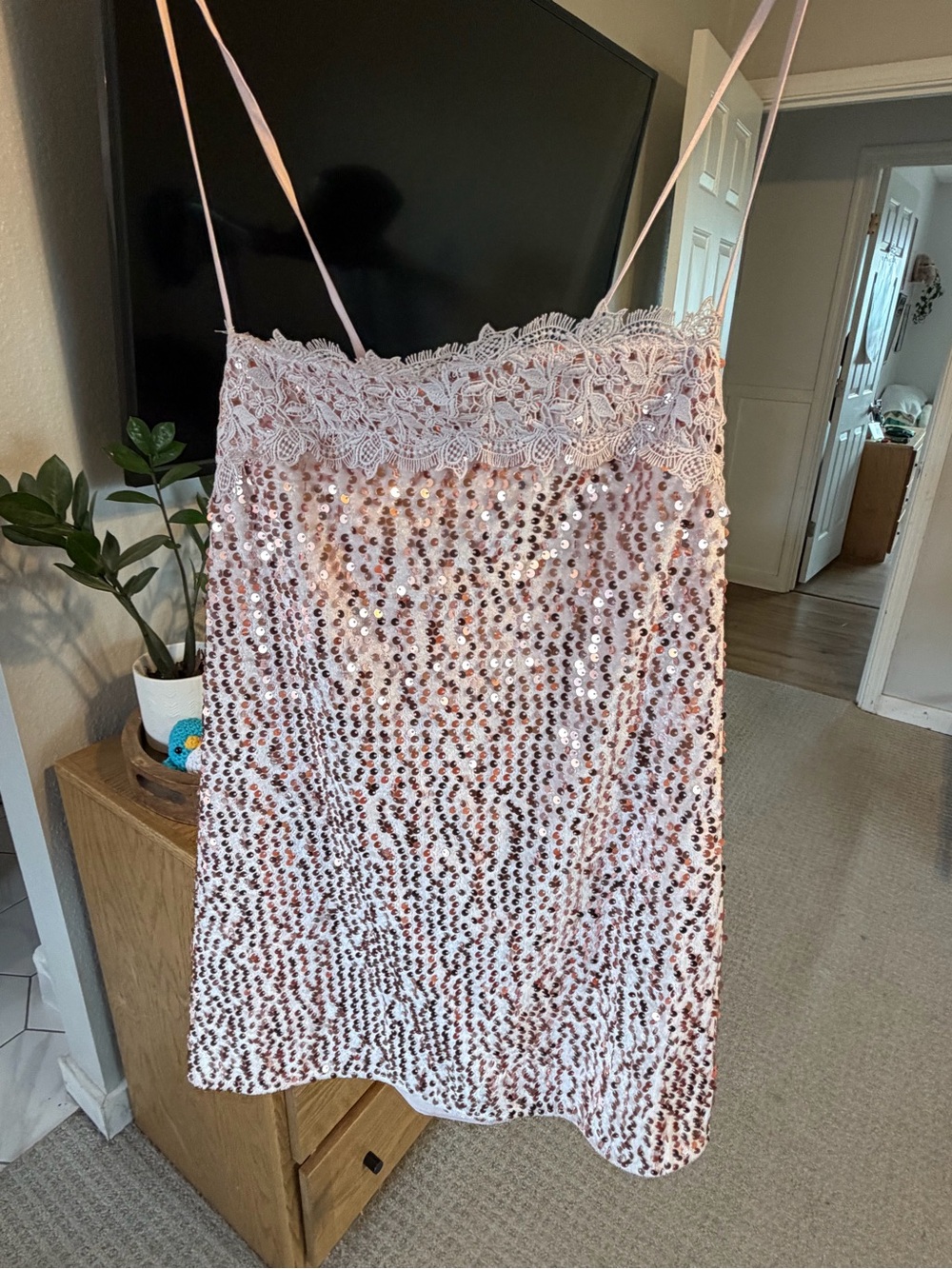Free People Lace-Trim Sequin dress
